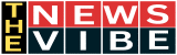 The News Vibe Logo